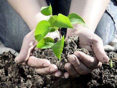 Se han emprendido iniciativas para proteger el agua en Colombia