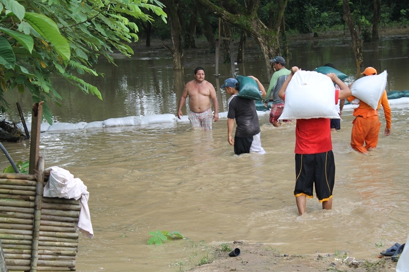 Más de 350 familias afectadas por ola invernal en el municipio de Arauquita