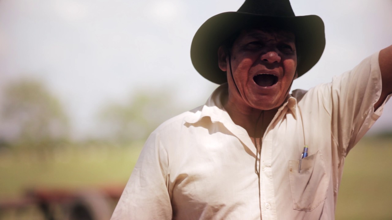 Los cantos de vaquería: la voz del llano