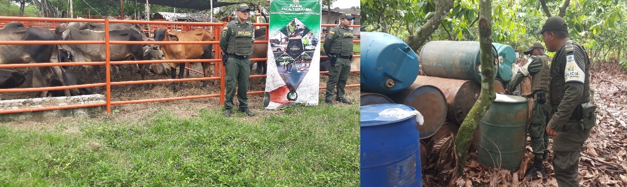La POLFA Arauca continua sus operativos contra el contrabando