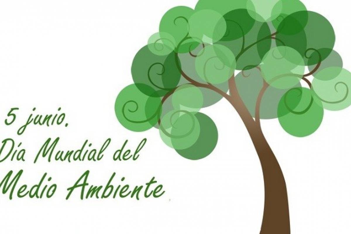 5 de junio día Mundial del Medio Ambiente  el tema de este año sin contaminación por plástico