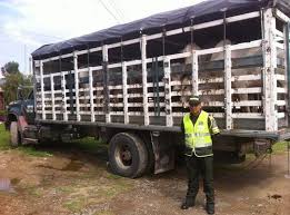 El ICA retira del cargo a técnico involucrado en presuntos hechos de corrupción en Arauca