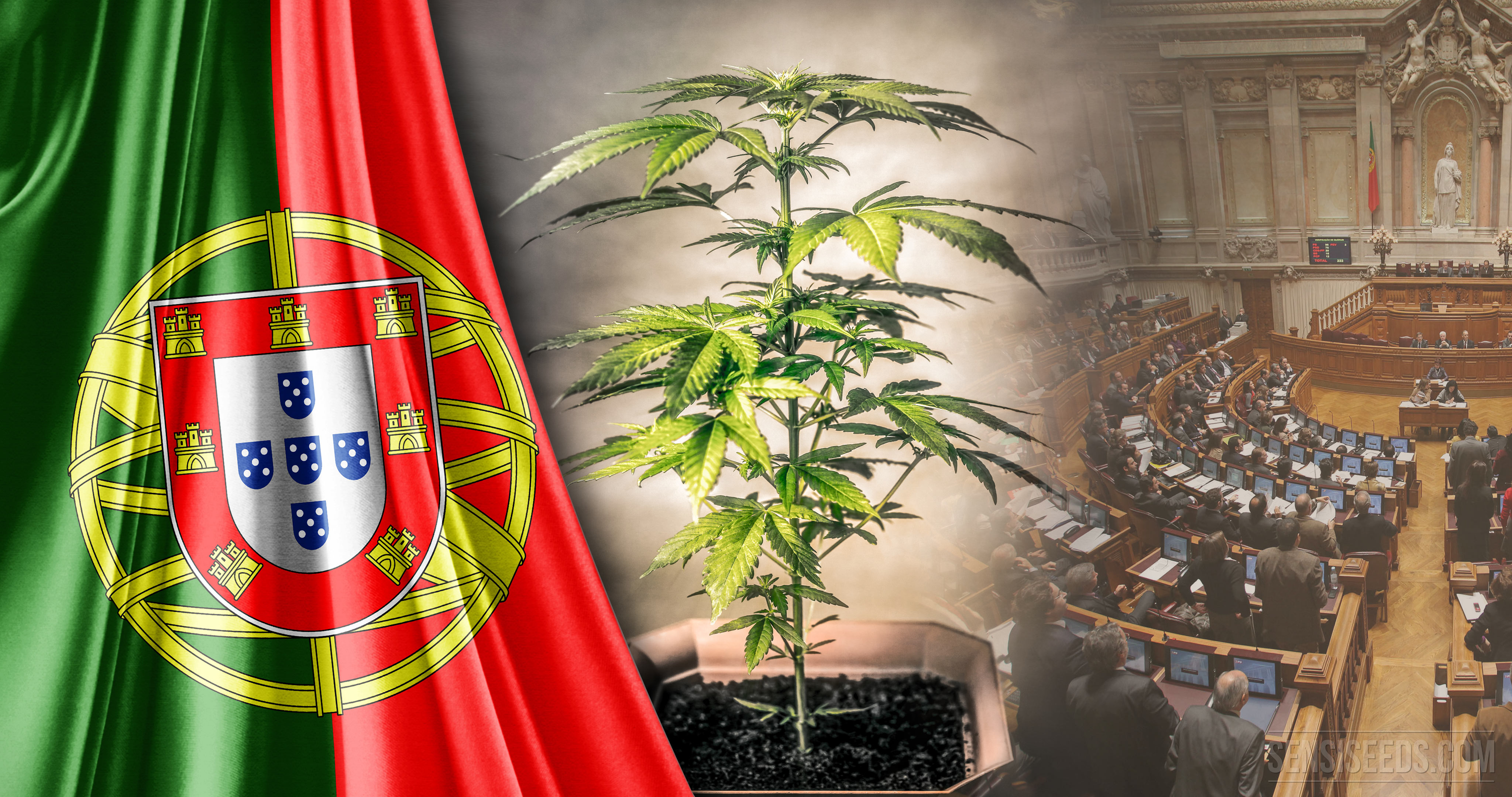 Portugal legaliza el cannabis medicinal