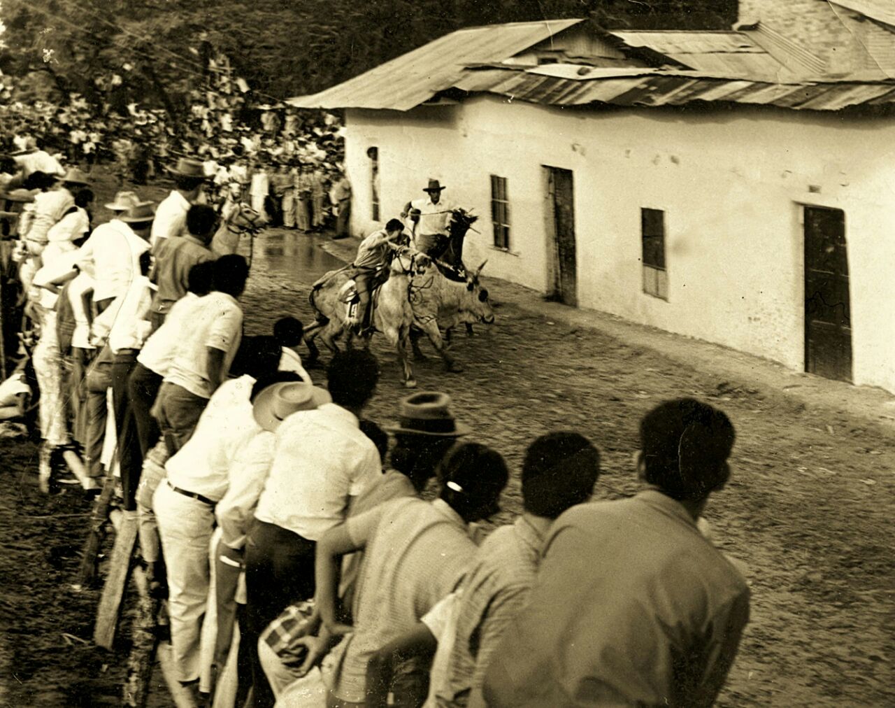 Coleo en Arauca