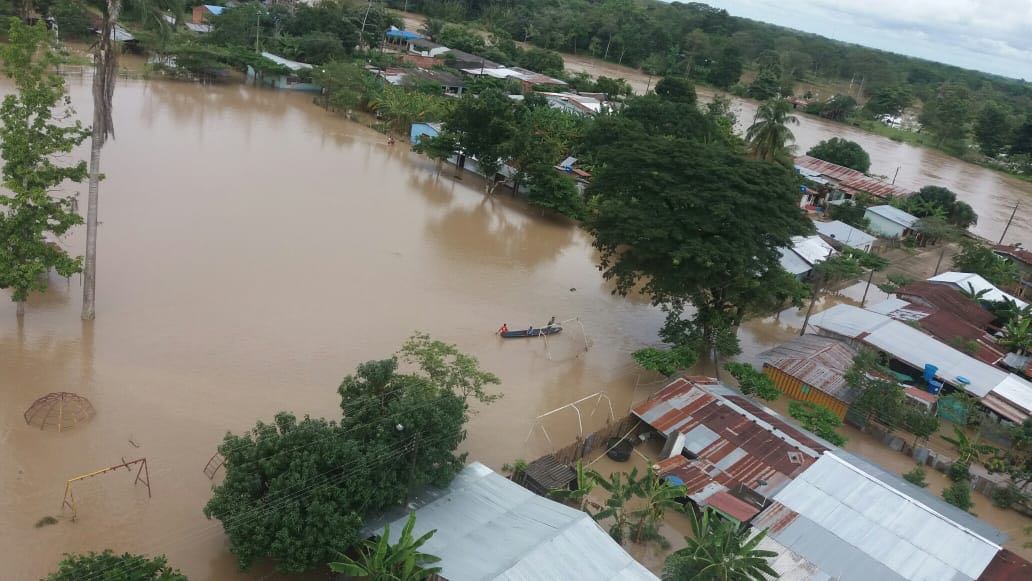 Reinera bajo las aguas