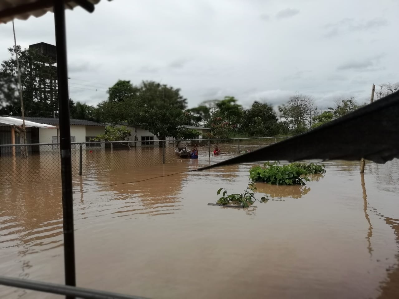 Reinera bajo el agua