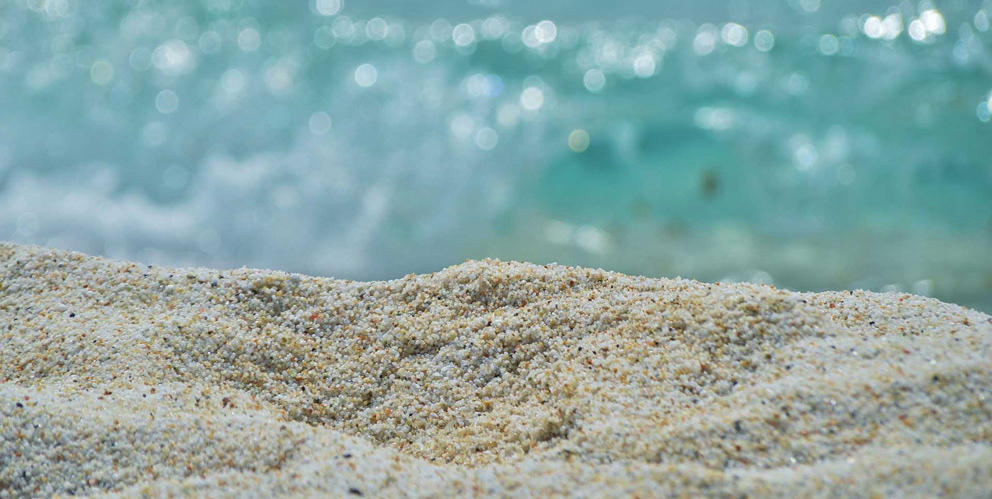 [En video]¿De dónde viene la arena de la playa?