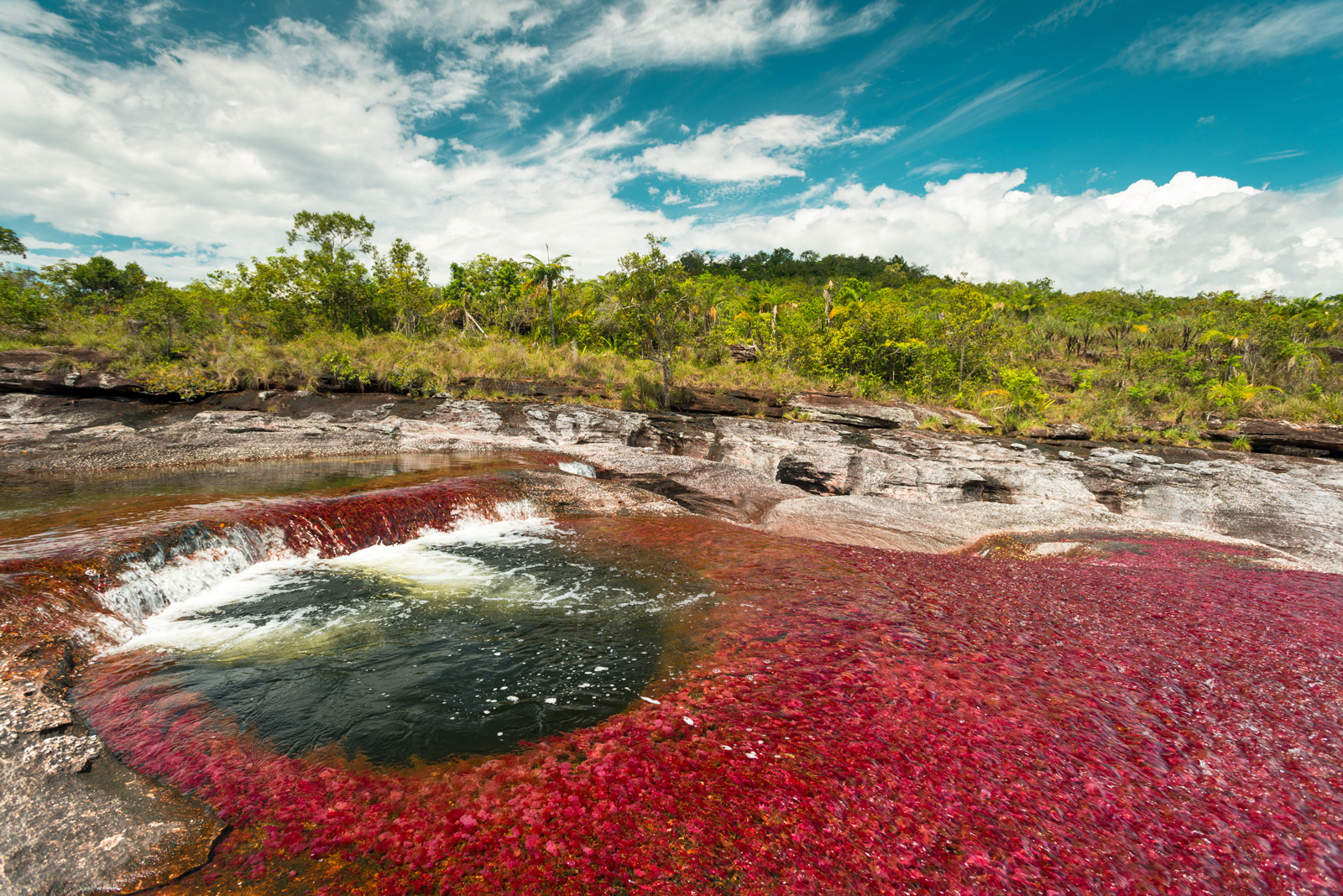 Caño Cristales y el Raudal Angosturas I listos para recibir visitantes en este 2018
