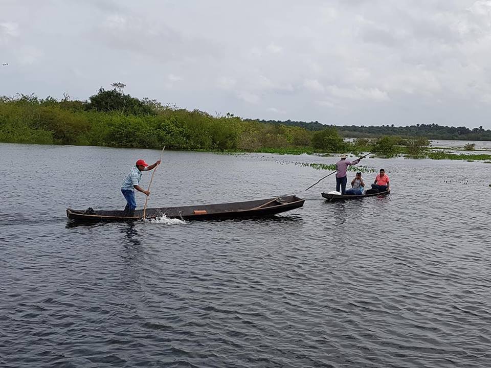 Inundaciones en Cravo Norte dejan a más de 80 familias afectadas