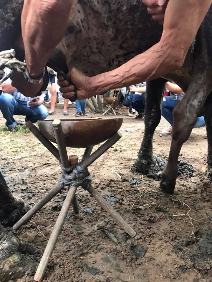 Cantos de vaquería
