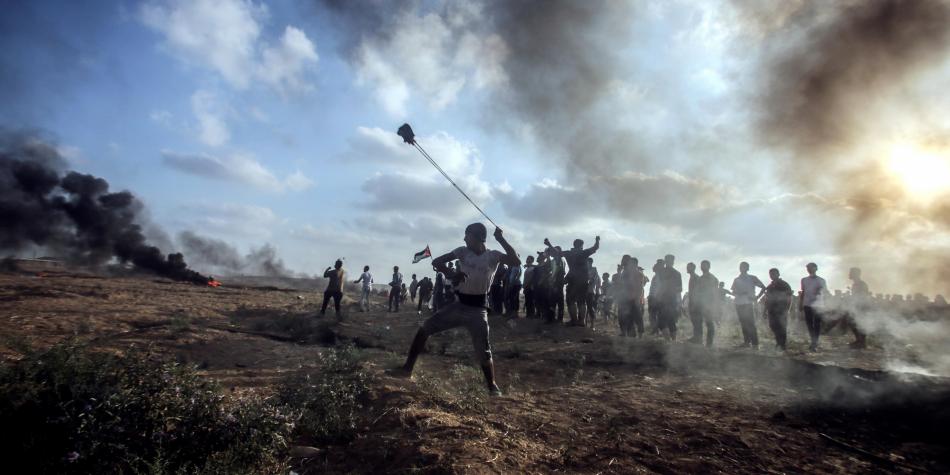 Palestinos utilizan aves para atacar a Israel