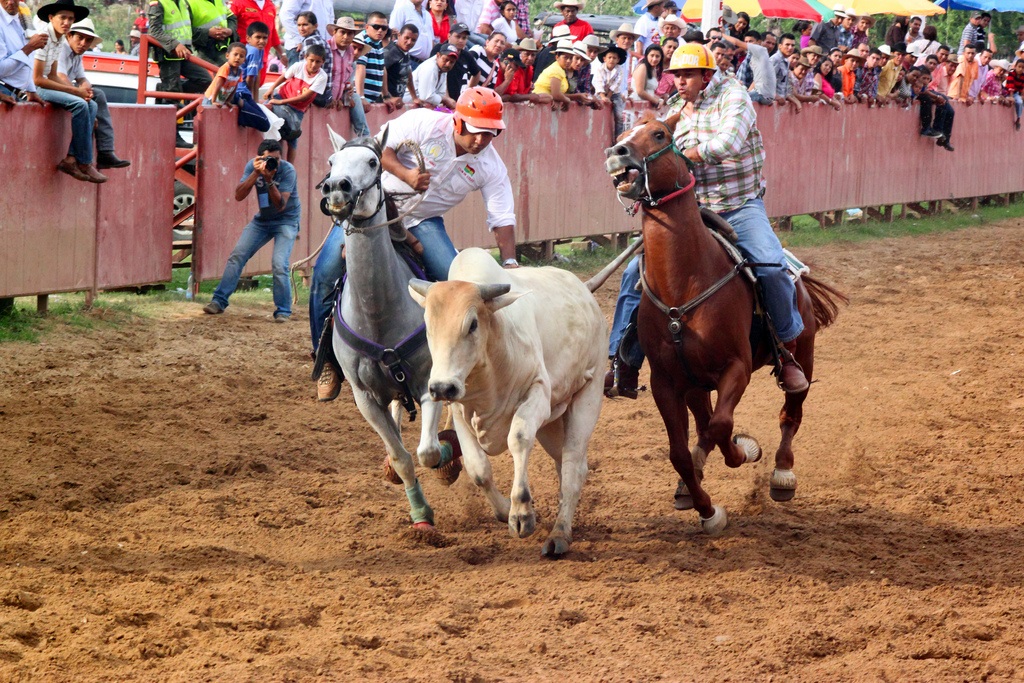Congreso aprueba ley de la cultura llanera y 25 de julio como el Día nacional de la cultura llanera tradición e identidad llanera