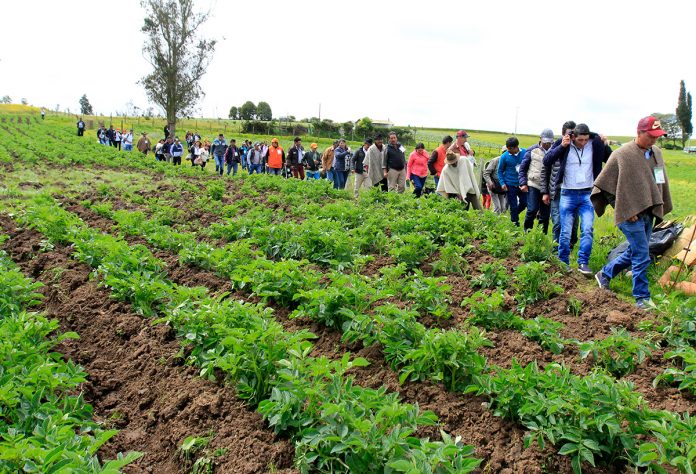 Agricultores boyacenses son ejemplo de cooperativismo