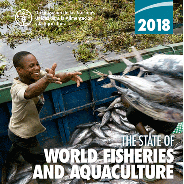 El consumo de pescado en América Latina y el Caribe crecerá un 33 % para 2030