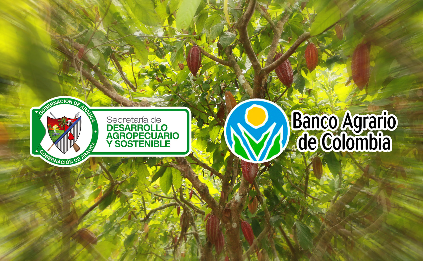 Gobernación y Banco Agrario disponen de créditos para pequeños productores