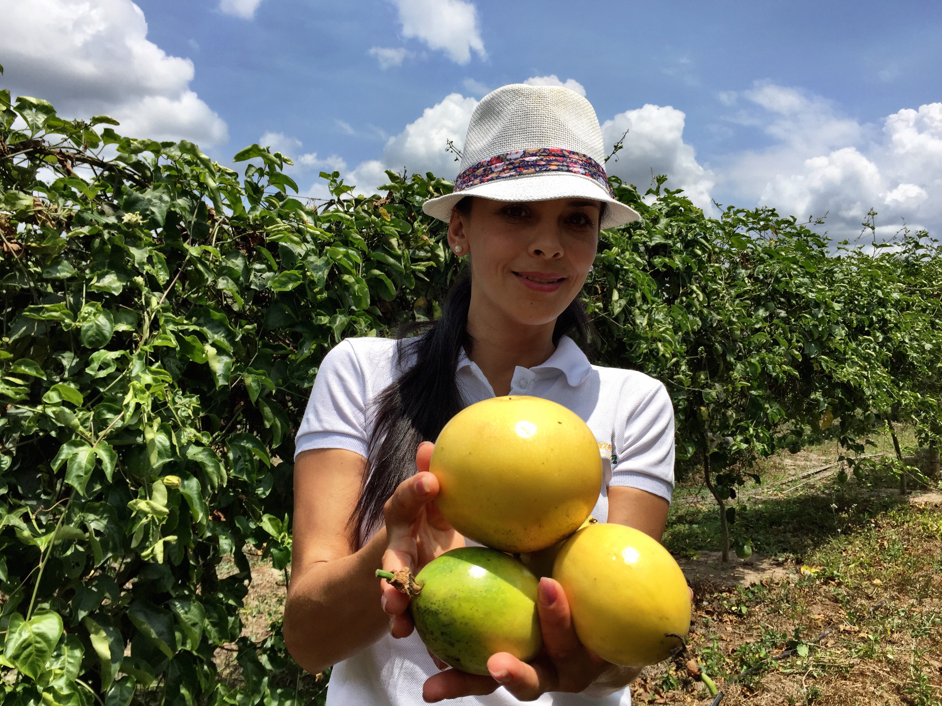 Con 4.000 cupos sigue abierta la convocatoria de formación agropecuaria