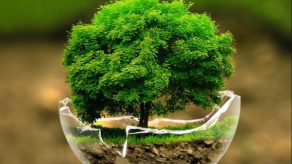 El 1 de agosto la humanidad agota los recursos naturales de todo el año:Global Footprint Network