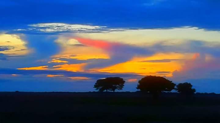 Foto Jaime Mantilla Trejos