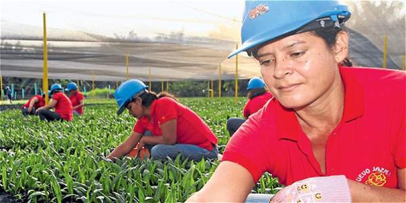 En Arauca, Consejería Presidencial para los DDHH promueve el desarrollo económico
