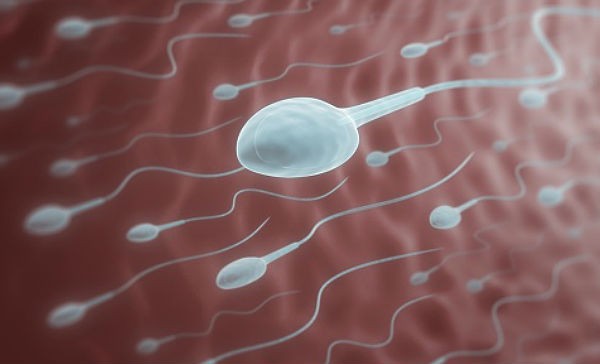 5 curiosidades sobre el semen que quizás no conocías