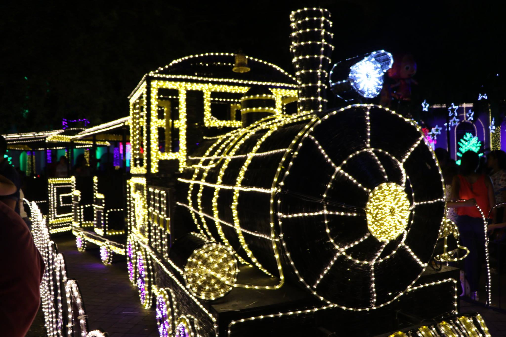 Enelar alumbra la Navidad en Arauca