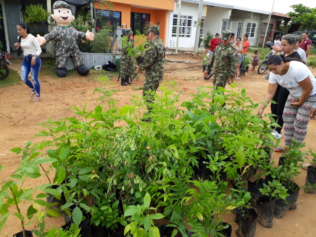 En el departamento de Arauca, Ejército Nacional siembra semillas de vida y paz