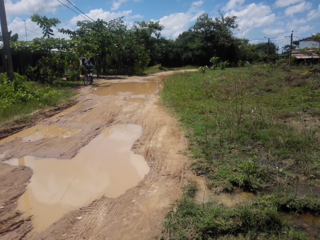 Con serpientes conviven habitantes del barrio Fundadores de Arauca