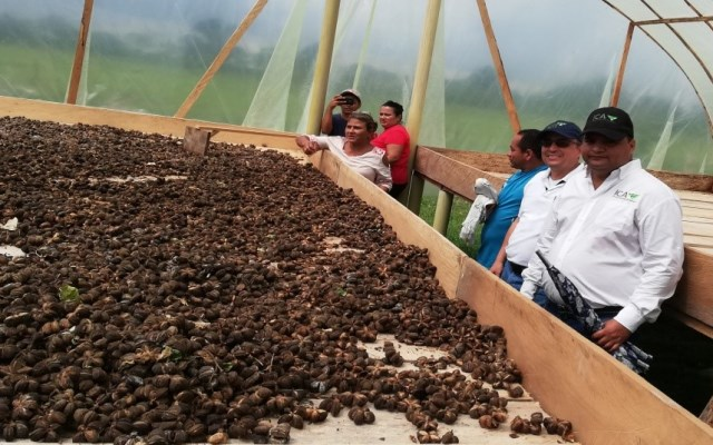 Los servicios institucionales del ICA están a la mano de los productores agropecuarios de ETCR – Filipinas, Arauquita