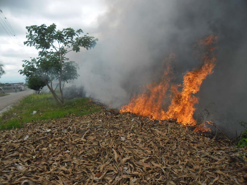 Manos humanas son culpables de conflagraciones en Arauca: Cuerpo de Bomberos