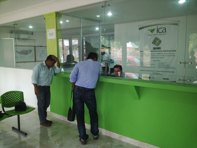 Falta de personal en oficinas del ICA genera retrasos en trámites a ganaderos arauquiteños