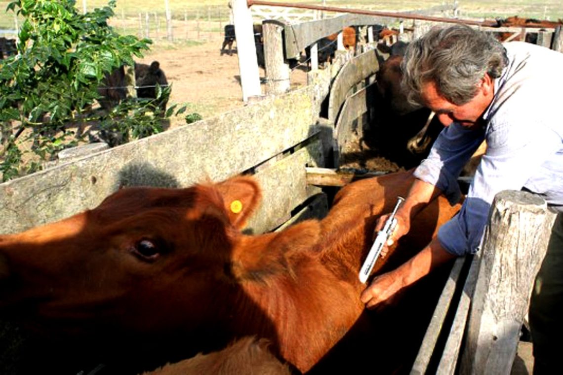 Gobierno Nacional subsidiaría  del biológico para revacunación