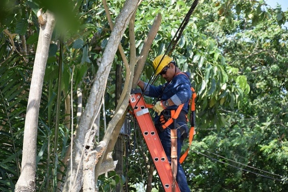 Trabajos de mantenimiento correctivo en las redes de distribución adelantará ENELAR ESP este viernes en zona rural del municipio de Tame