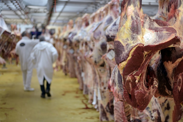 Varios países europeos empiezan a destruir la carne de un matadero polaco ilegal