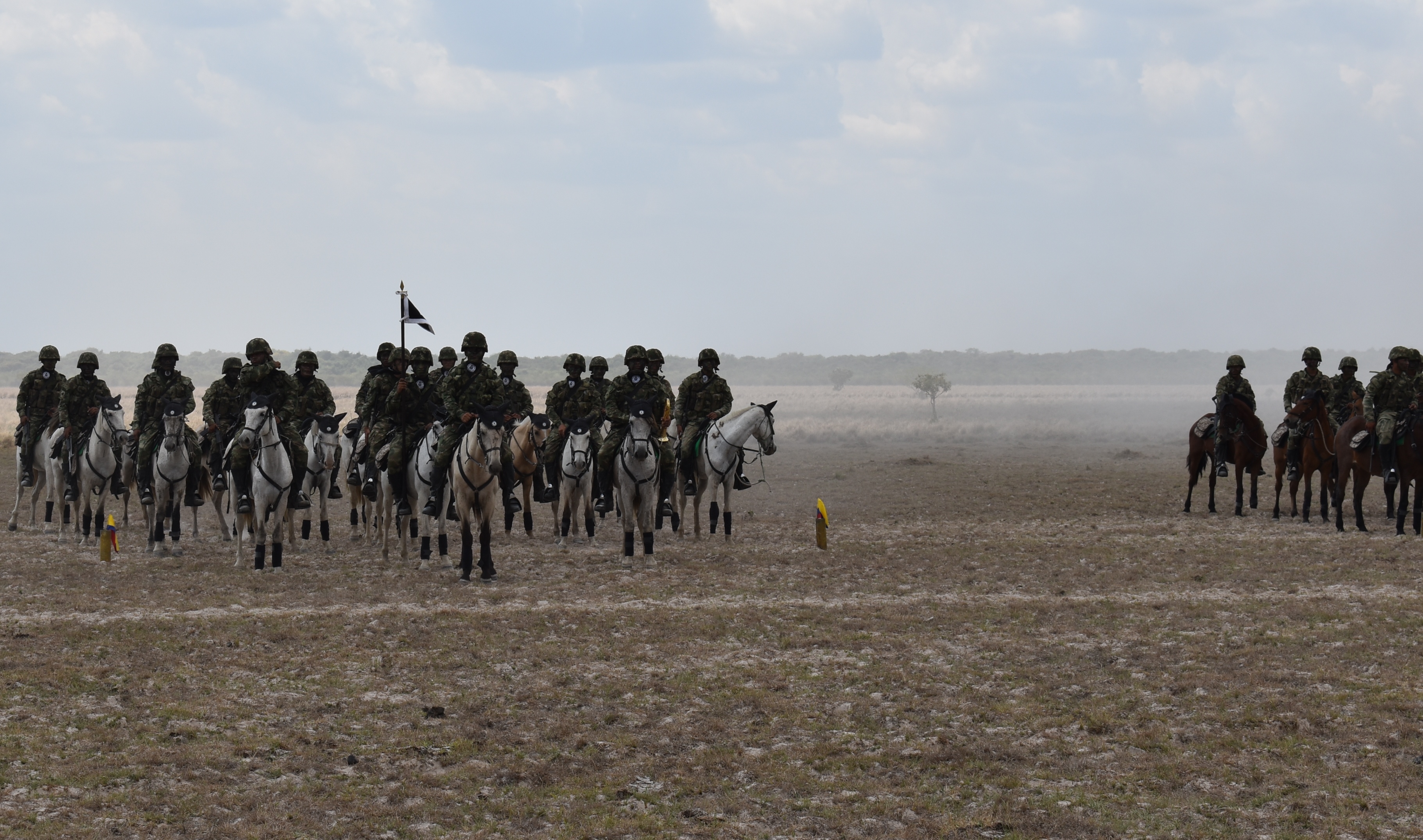 Con 80 caballos refuerzan pelotón montado del Ejército en Arauca