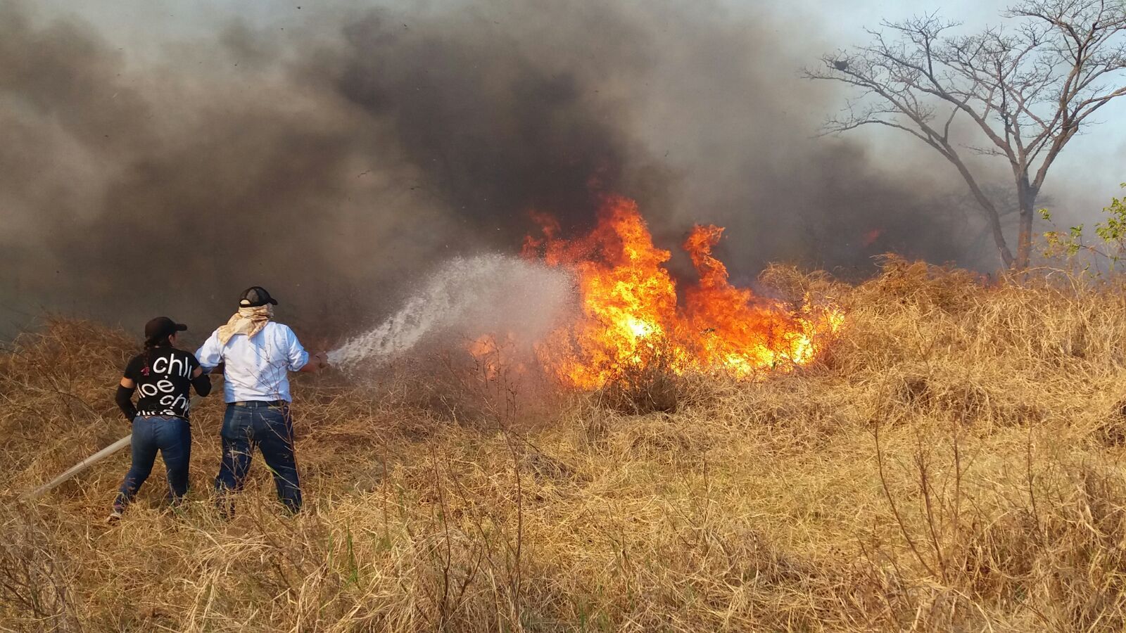 Incendios se registran en Puerto Rondón y Saravena
