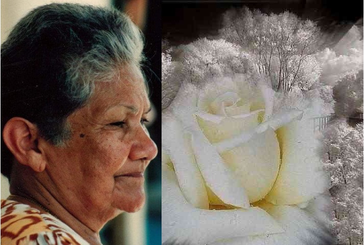 El garcero está triste, partió a la eternidad doña  Josefina Hidalgo de Navea