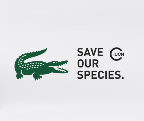 ‘LACOSTE’ Cambió icono por 10 especies en peligro de extinción