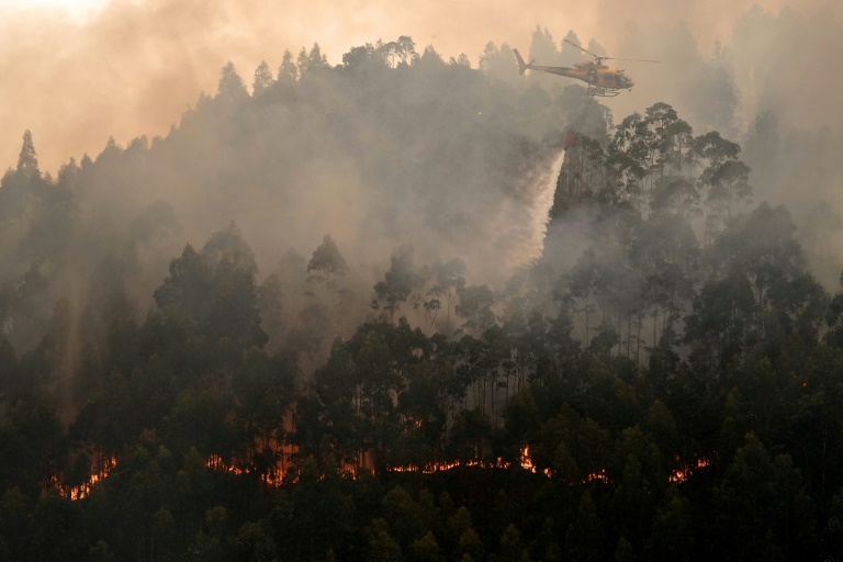 Cientos de bomberos combaten un incendio forestal en Galicia