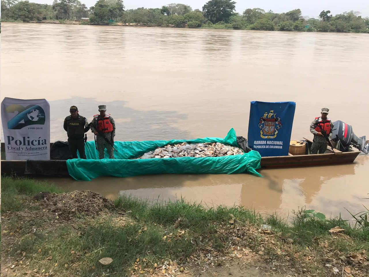 Autoridades aprehendieron más de 700 kilos de pescado en malas condiciones