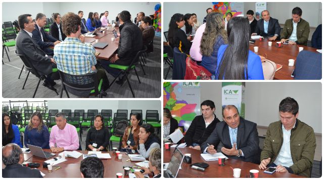 Uchuva colombiana sigue deleitando a millones de consumidores en el mundo
