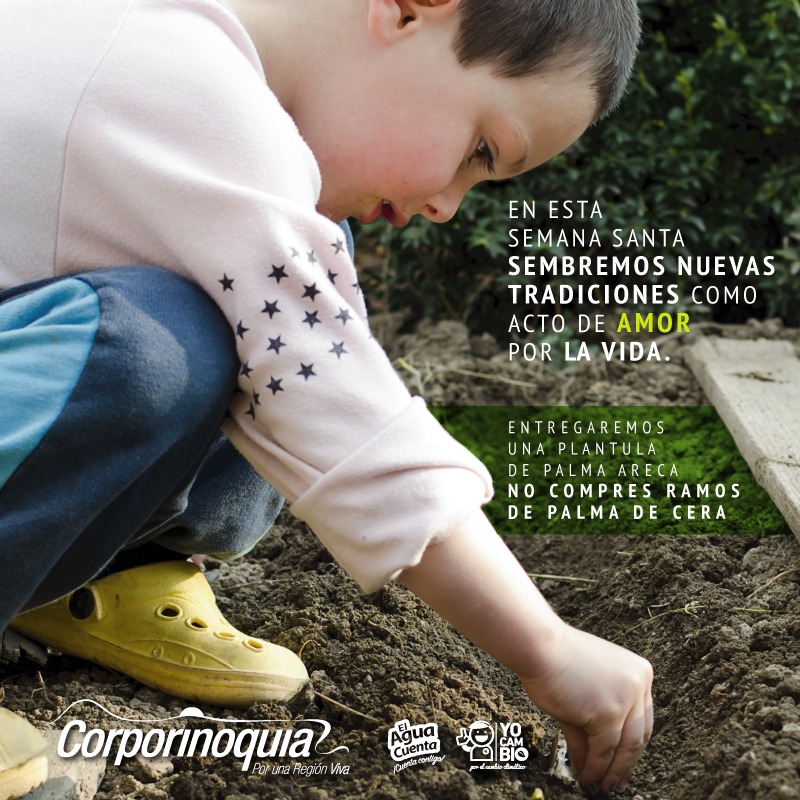Este Domingo de Ramos Corporinoquia te invita a sembrar nuevas tradiciones