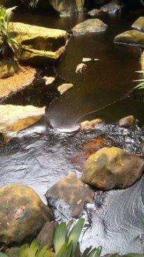 Derrame de crudo en Tibú por acción ilícita en oleoducto Caño Limón-Coveñas
