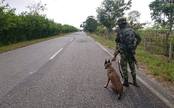 Cajas presuntamente cargada de explosivos bloquean la vía La Esmeralda – Fortul