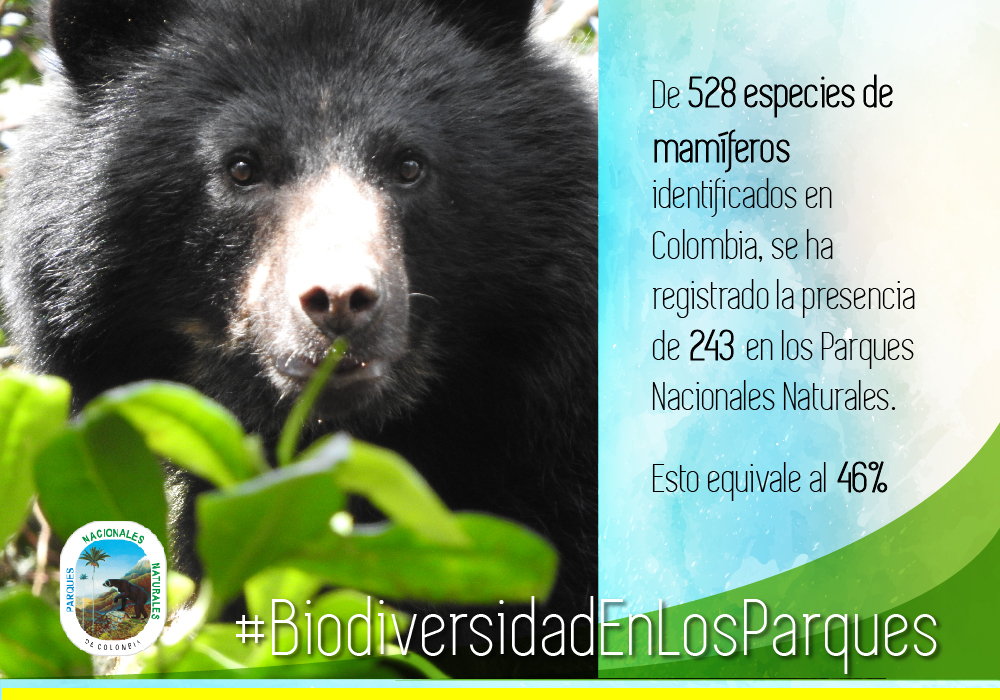 19.228 especies de fauna y flora se protegen  en los Parques Nacionales Naturales de Colombia