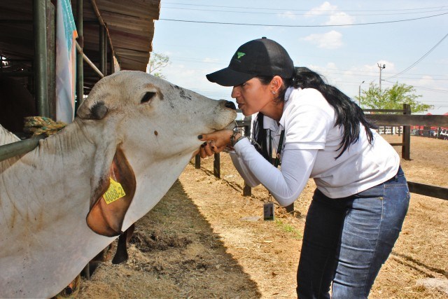 Colombia tiene Consejo Nacional y Comité Técnico de Bienestar Animal en animales de producción