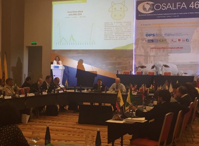 Erradicación de la fiebre aftosa, prioridad para Colombia