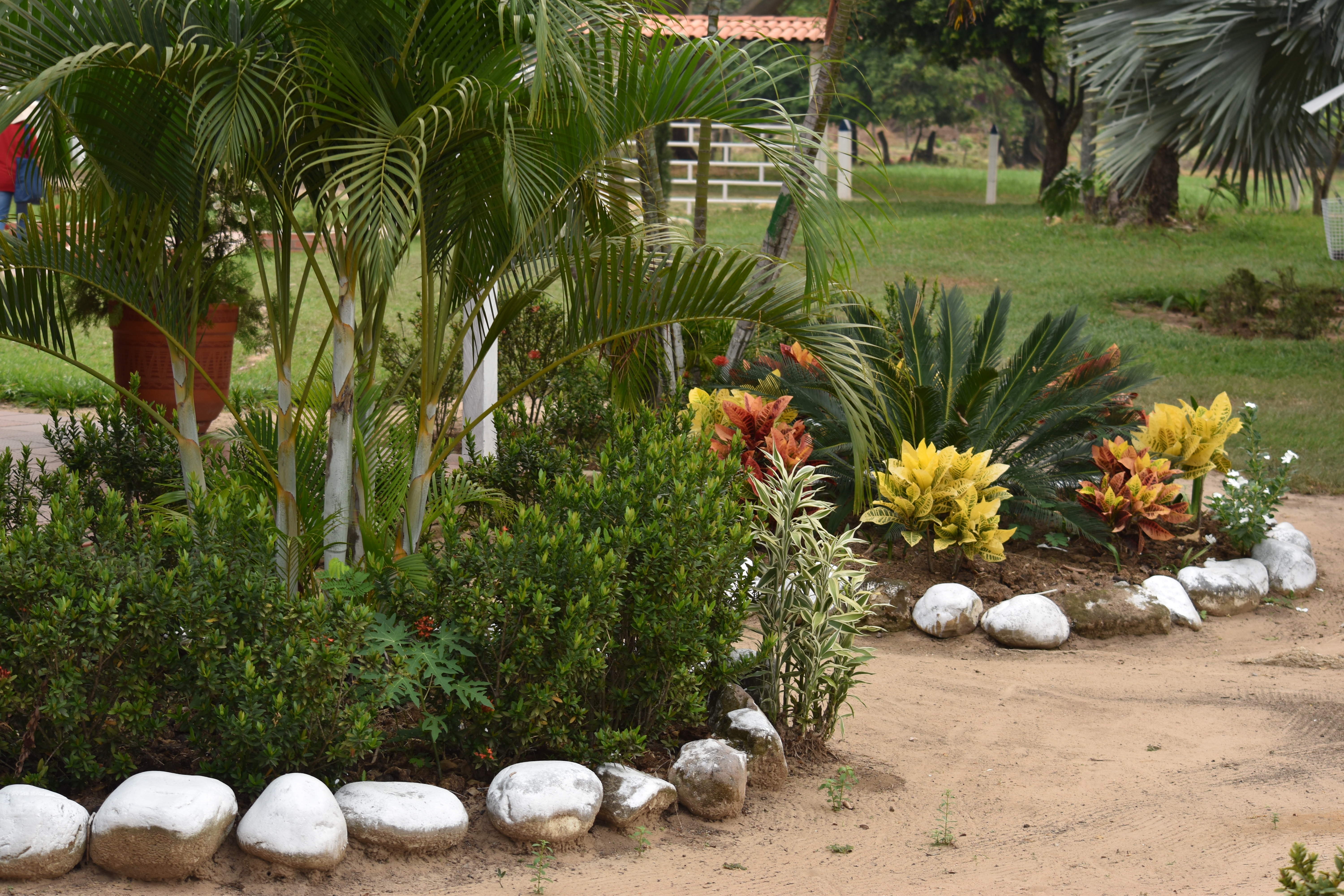 Jardín de Tame