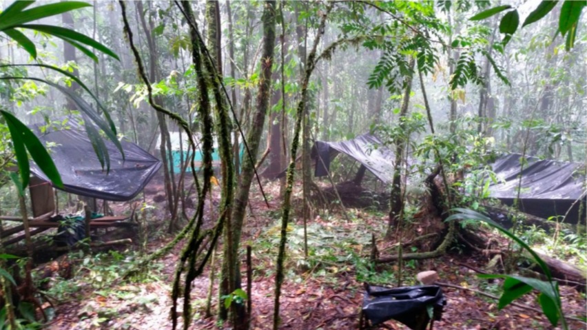 Fue desmantelado campamento de las disidencias en Arauquita