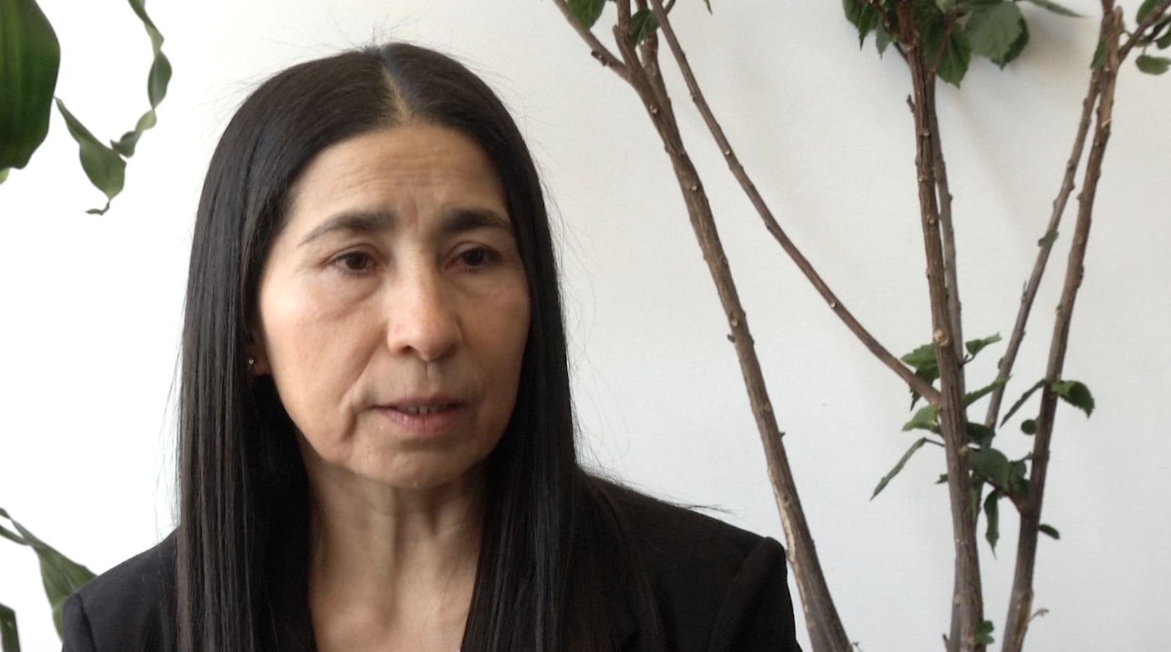 Ingreso de ‘Sonia’ a la JEP debe estar condicionado a que diga la verdad sobre lavado de activos: Procuraduría