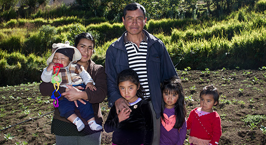 Comienza el Decenio de la Agricultura Familiar